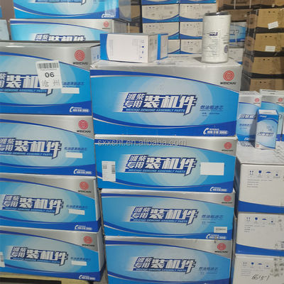 OE NO. 10004246551000442956 Shacman Excavator Engine Filter Diesel Filter Oil Filter